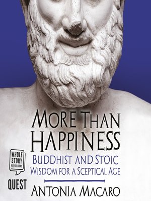 cover image of More Than Happiness